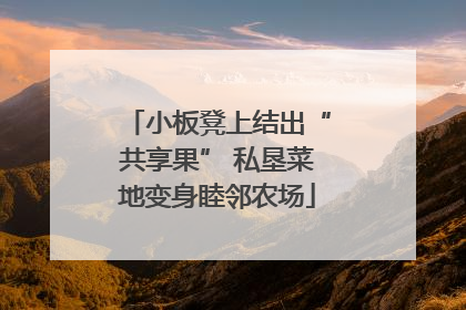 小板凳上结出“共享果” 私垦菜地变身睦邻农场