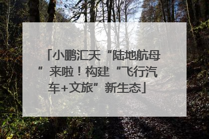 小鹏汇天“陆地航母”来啦！构建“飞行汽车+文旅”新生态