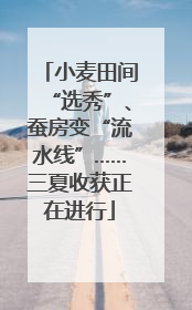 小麦田间“选秀”、蚕房变“流水线”……三夏收获正在进行