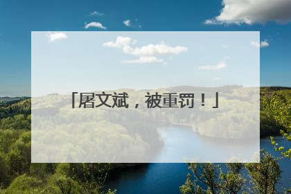 屠文斌，被重罚！