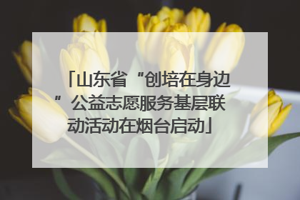 山东省“创培在身边”公益志愿服务基层联动活动在烟台启动