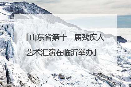 山东省第十一届残疾人艺术汇演在临沂举办