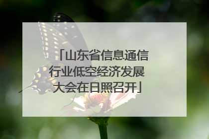 山东省信息通信行业低空经济发展大会在日照召开