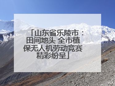 山东省乐陵市：田间地头 全市植保无人机劳动竞赛精彩纷呈