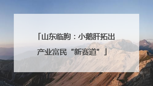 山东临朐：小鹅肝拓出产业富民“新赛道”