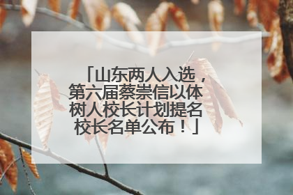 山东两人入选，第六届蔡崇信以体树人校长计划提名校长名单公布！