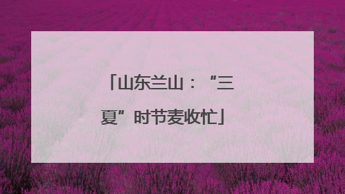 山东兰山：“三夏”时节麦收忙