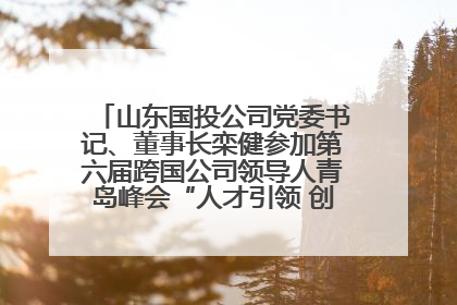 山东国投公司党委书记、董事长栾健参加第六届跨国公司领导人青岛峰会“人才引领 创新驱动”人力资源高质量发展对话会