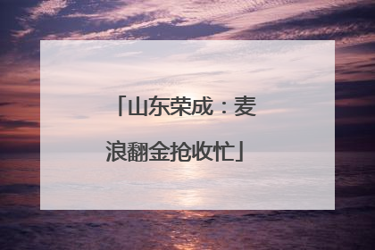 山东荣成：麦浪翻金抢收忙