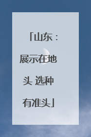 山东：展示在地头 选种有准头