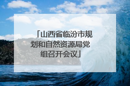山西省临汾市规划和自然资源局党组召开会议