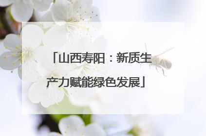 山西寿阳：新质生产力赋能绿色发展