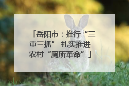 岳阳市：推行“三重三抓” 扎实推进农村“厕所革命”