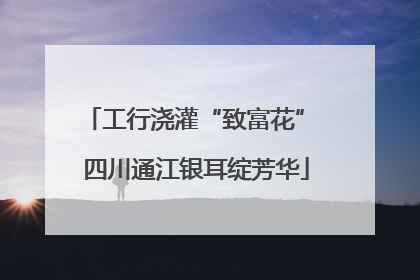 工行浇灌“致富花” 四川通江银耳绽芳华