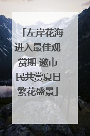左岸花海进入最佳观赏期 邀市民共赏夏日繁花盛景