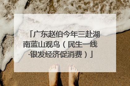 广东赵伯今年三赴湖南蓝山观鸟（民生一线·银发经济促消费）