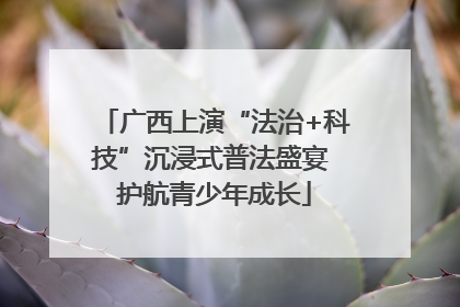 广西上演“法治+科技”沉浸式普法盛宴 护航青少年成长