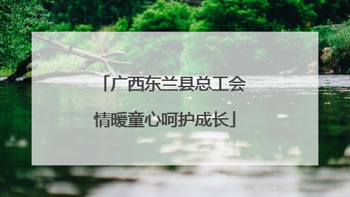 广西东兰县总工会情暖童心呵护成长