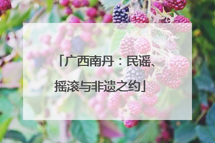 广西南丹：民谣、摇滚与非遗之约
