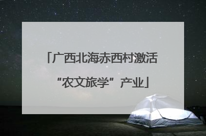 广西北海赤西村激活“农文旅学”产业