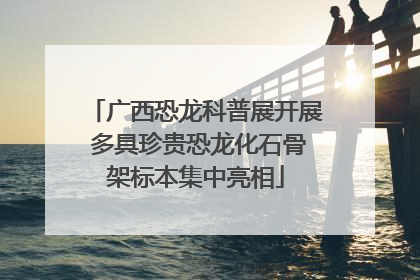 广西恐龙科普展开展 多具珍贵恐龙化石骨架标本集中亮相