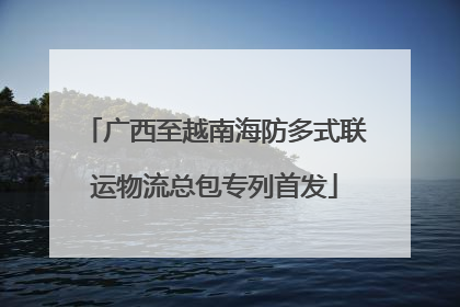 广西至越南海防多式联运物流总包专列首发