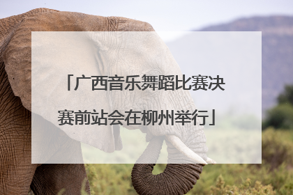 广西音乐舞蹈比赛决赛前站会在柳州举行