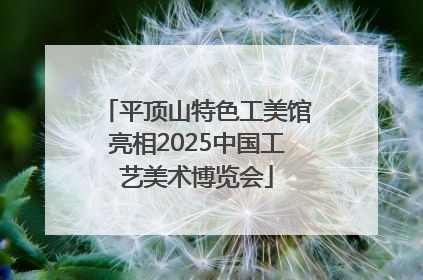 平顶山特色工美馆亮相2025中国工艺美术博览会