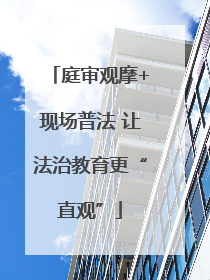庭审观摩+现场普法 让法治教育更“直观”