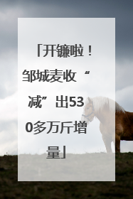 开镰啦！邹城麦收“减”出530多万斤增量