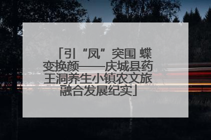 引“凤”突围 蝶变换颜——庆城县药王洞养生小镇农文旅融合发展纪实