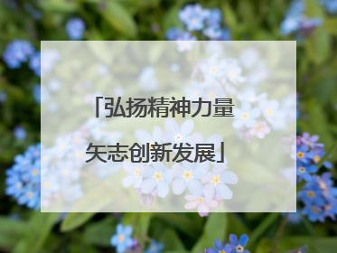 弘扬精神力量 矢志创新发展