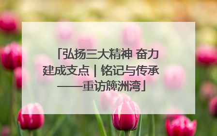 弘扬三大精神 奋力建成支点｜铭记与传承——重访簰洲湾