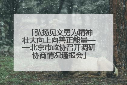 弘扬见义勇为精神 壮大向上向善正能量——北京市政协召开调研协商情况通报会