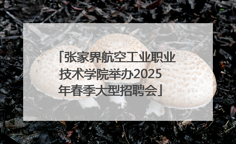 张家界航空工业职业技术学院举办2025年春季大型招聘会