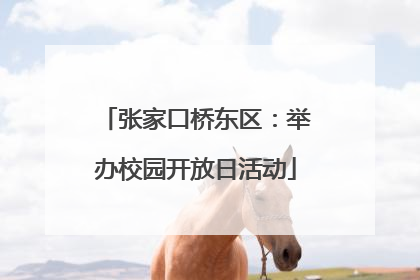 张家口桥东区：举办校园开放日活动