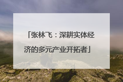 张林飞：深耕实体经济的多元产业开拓者