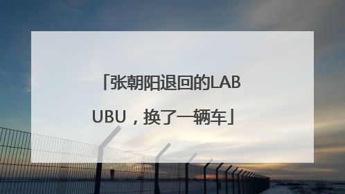 张朝阳退回的LABUBU，换了一辆车