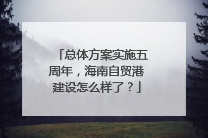 总体方案实施五周年，海南自贸港建设怎么样了？