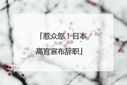 惹众怒！日本高官宣布辞职