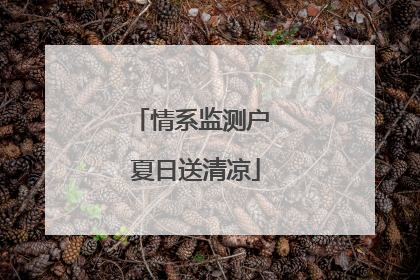 情系监测户 夏日送清凉