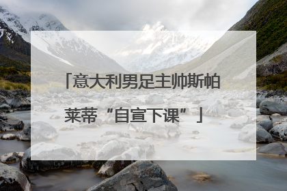 意大利男足主帅斯帕莱蒂“自宣下课”