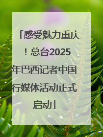 感受魅力重庆！总台2025年巴西记者中国行媒体活动正式启动
