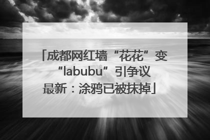 成都网红墙“花花”变“labubu”引争议 最新：涂鸦已被抹掉