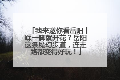 我来邀你看岳阳丨踩一脚就开花？岳阳这条魔幻步道，连走路都变得好玩！