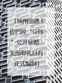 扬州出逃卡皮巴拉“豆包”公开征婚：无须彩礼且有正式编制