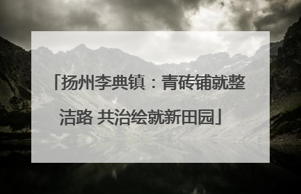 扬州李典镇：青砖铺就整洁路 共治绘就新田园