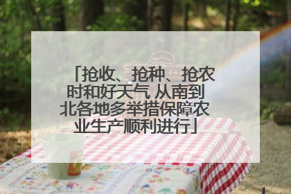 抢收、抢种、抢农时和好天气 从南到北各地多举措保障农业生产顺利进行