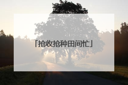 抢收抢种田间忙