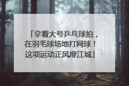 拿着大号乒乓球拍，在羽毛球场地打网球！这项运动正风靡江城